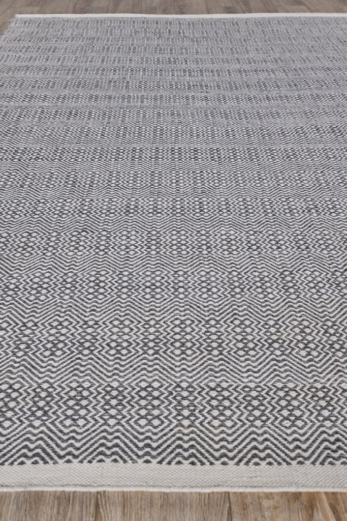 Exquisite Echo Indoor/Outdoor Flatweave PET yarn Ivory/Gray Area Rug 6.0'X9.0' Rug