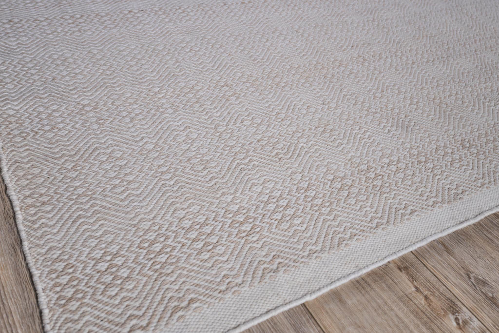 Exquisite Echo Indoor/Outdoor Flatweave PET yarn Ivory/Light Beige Area Rug 4.0'X6.0' Rug