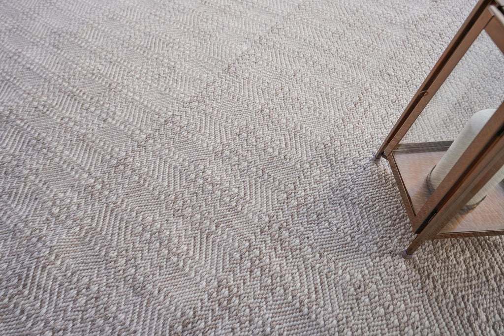 Exquisite Echo Indoor/Outdoor Flatweave PET yarn Ivory/Light Beige Area Rug 4.0'X6.0' Rug