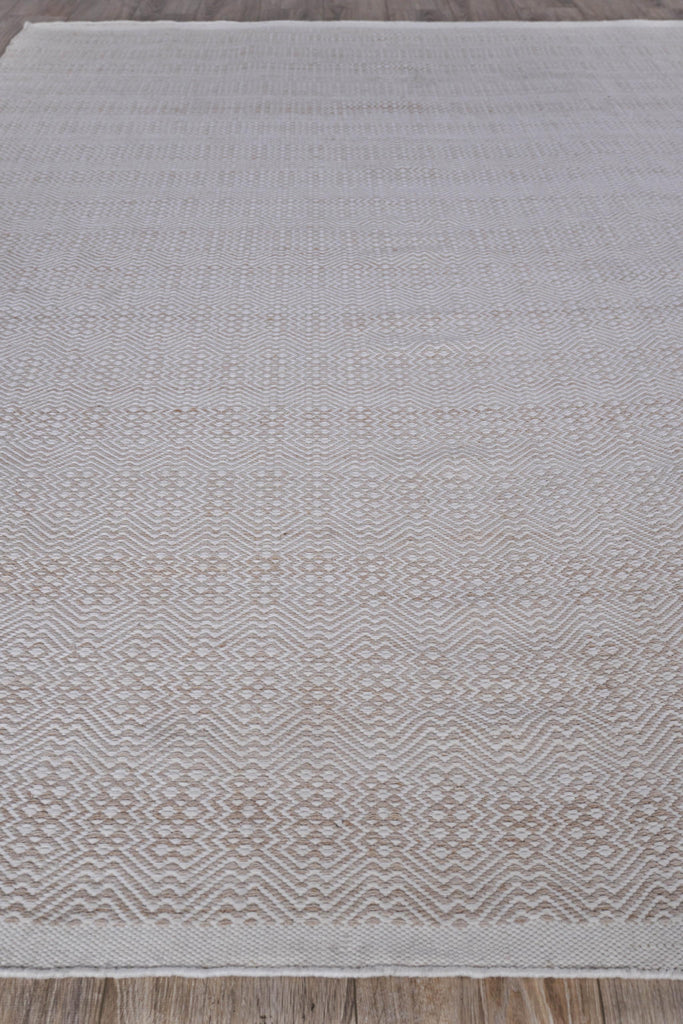 Exquisite Echo Indoor/Outdoor Flatweave PET yarn Ivory/Light Beige Area Rug 8.0'X10.0' Rug