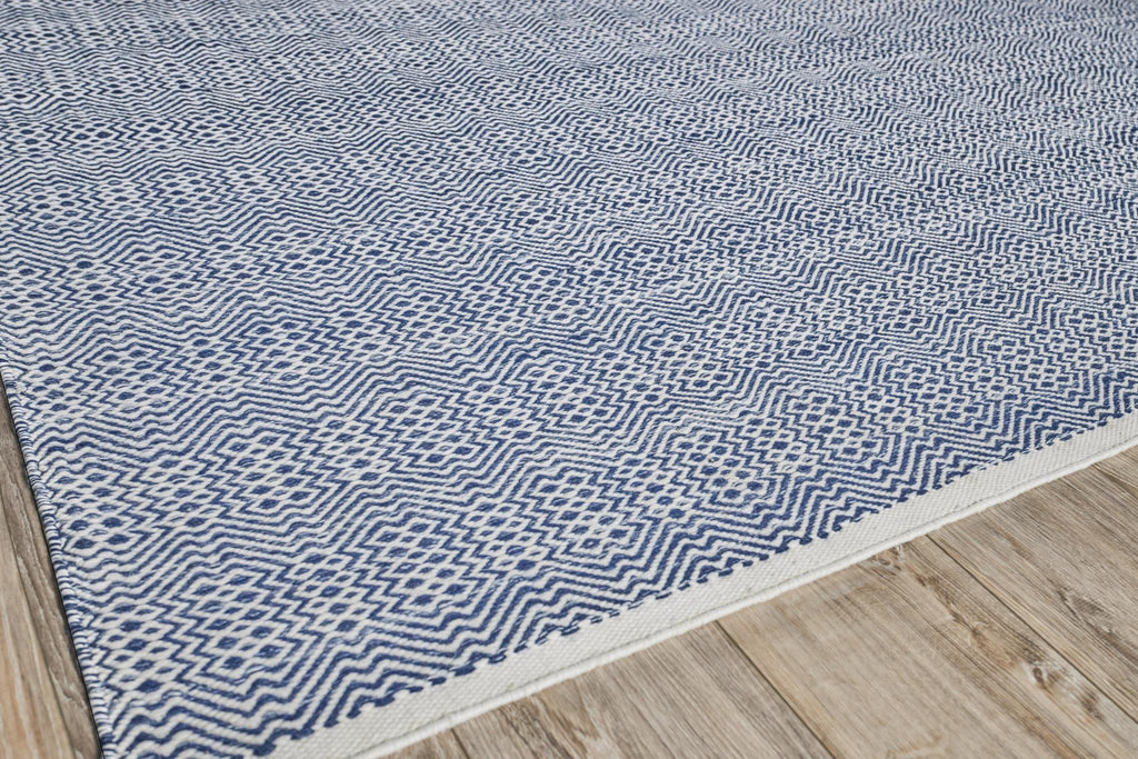 Exquisite Echo Indoor/Outdoor Flatweave PET yarn Ivory/Blue Area Rug 10.0'X14.0' Rug