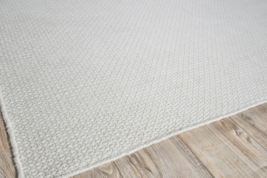 Exquisite Gamma Indoor/Outdoor Flatweave PET yarn Ivory Area Rug 5.0'X8.0' Rug