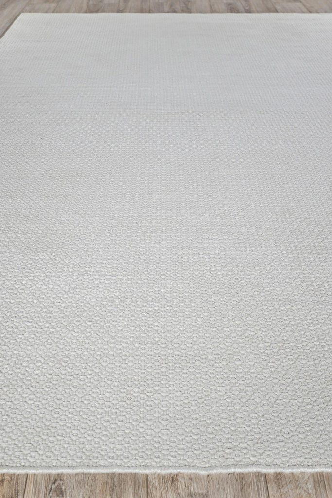 Exquisite Gamma Indoor/Outdoor Flatweave PET yarn Ivory Area Rug 5.0'X8.0' Rug