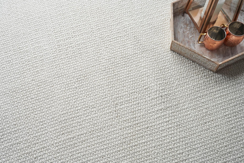 Exquisite Gamma Indoor/Outdoor Flatweave PET yarn Ivory Area Rug 5.0'X8.0' Rug