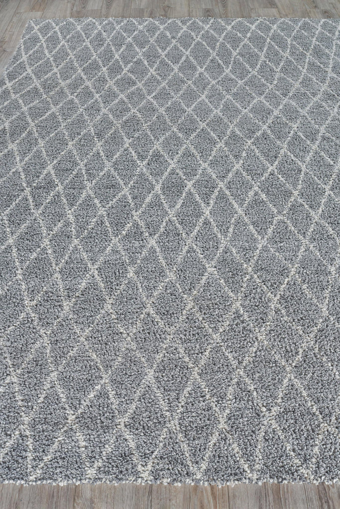 Exquisite Giorgio Indoor/Outdoor Reversible Flatweave PET yarn Gray/Ivory Area Rug 10.0'X14.0' Rug