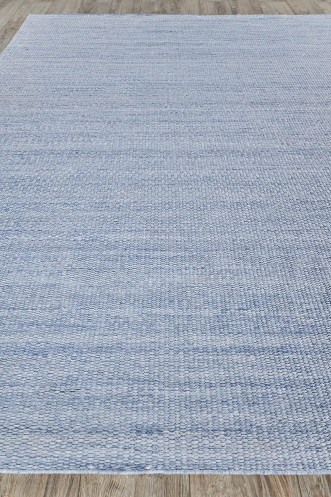 Exquisite Loro Indoor/Outdoor Flatweave PET yarn Light Blue Area Rug 10.0'X14.0' Rug