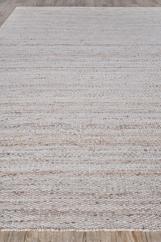 Exquisite Loro Indoor/Outdoor Flatweave PET yarn Light Beige Area Rug 5.0'X8.0' Rug