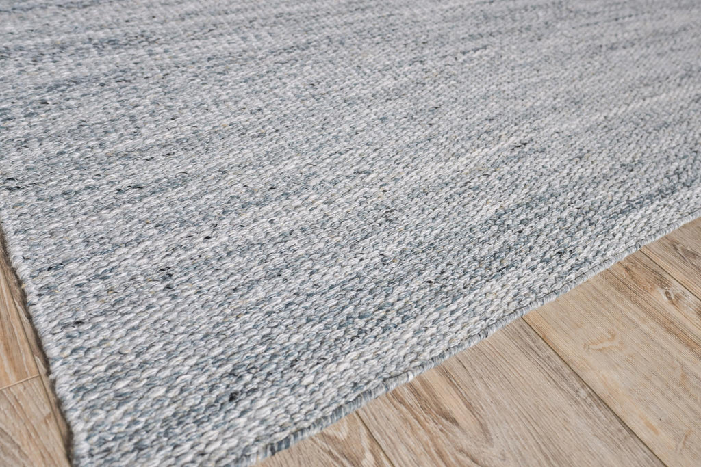 Exquisite Loro Indoor/Outdoor Flatweave PET yarn Gray Area Rug 5.0'X8.0' Rug