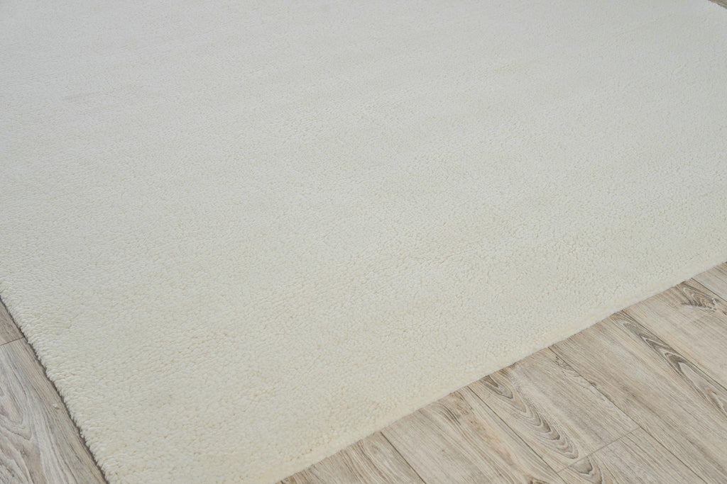 Exquisite Merino Hand-knotted Merino Wool Ivory Area Rug 9.0'X12.0' Rug