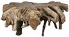 Noir Teak Root Coffee Table