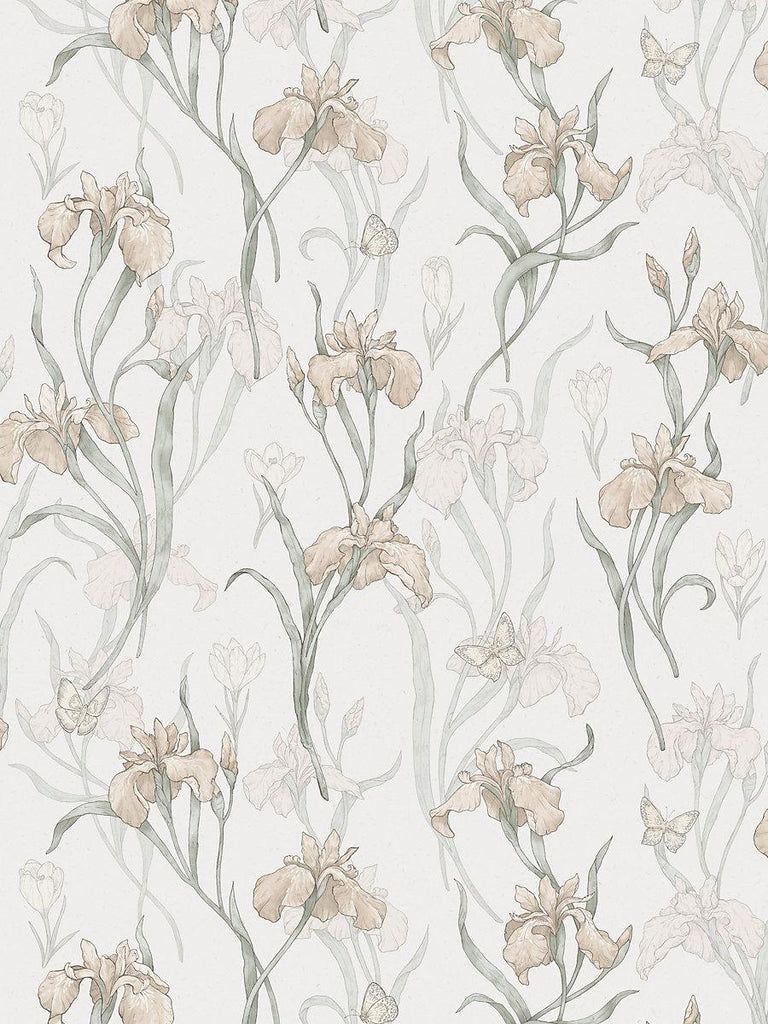 Sandberg Iris Powder Pink Wallpaper