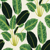 Decoratorsbest Jungle Leaves By Genevieve Gorder Green Peel And Stick Wallpaper, 56 Sq. Ft.