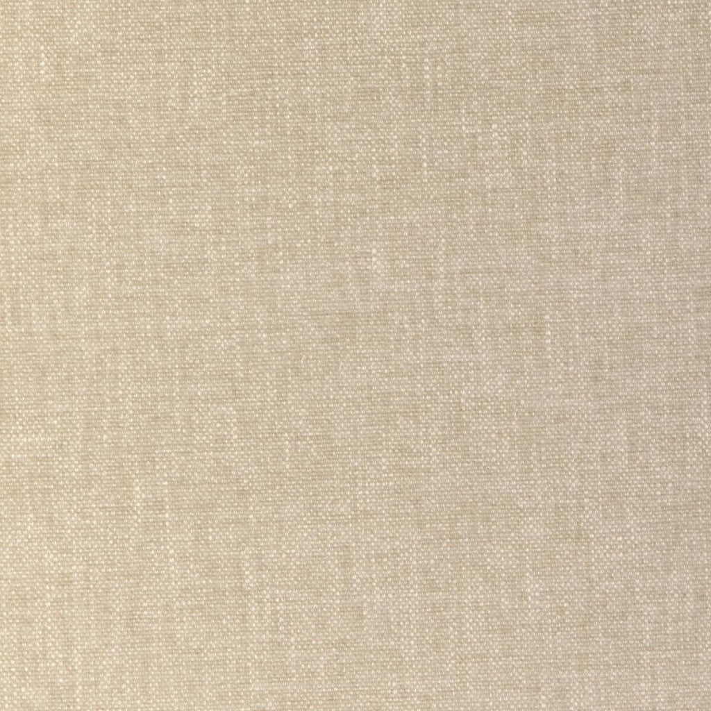 Kravet KRAVET SMART 36663-1116 Fabric