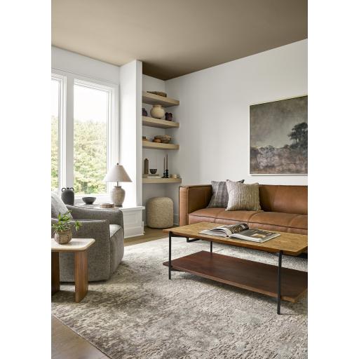 Surya Judith JDI-001 Brown Clear 17"H x 48"W x 24"D Furniture