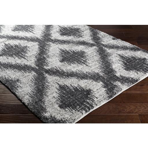 Surya Aliyah Shag ALH-2310 Charcoal Cream 2' x 3' Rug