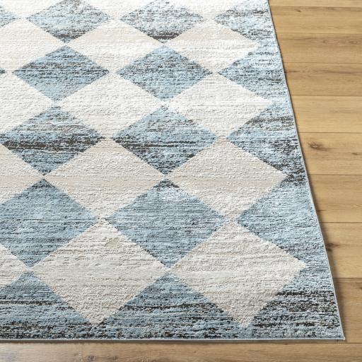 Surya Allegro ALG-2349 Blue Ivory 9'2" x 12' Rug