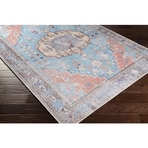 Surya Amelie AML-2318 Aqua Brown 2'7" x 7'10" Rug