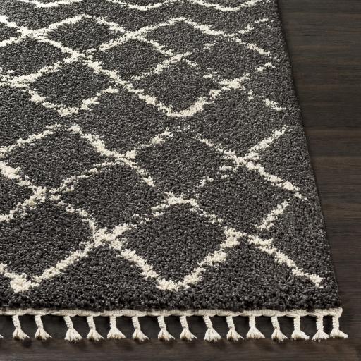 Surya Berber Shag BBE-2307 Charcoal Light Beige 2' x 2'11" Rug