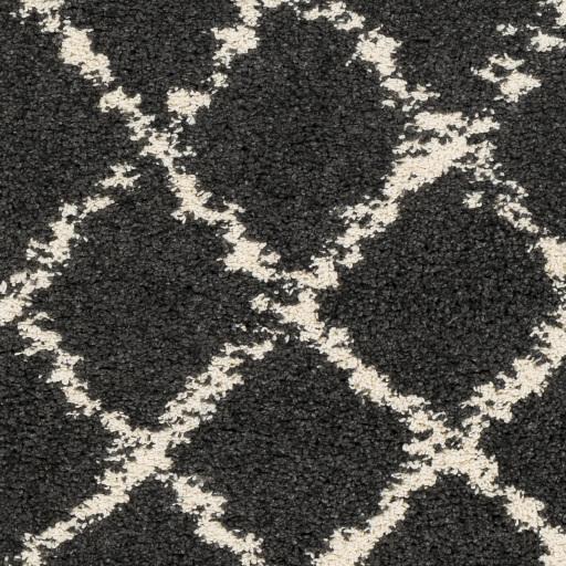 Surya Berber Shag BBE-2307 Charcoal Light Beige 2' x 2'11" Rug