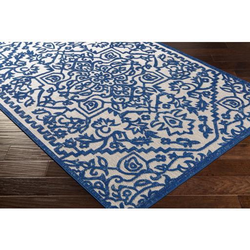 Surya Big Sur BSR-2301 Blue Medium Gray 7'10" x 10'3" Rug