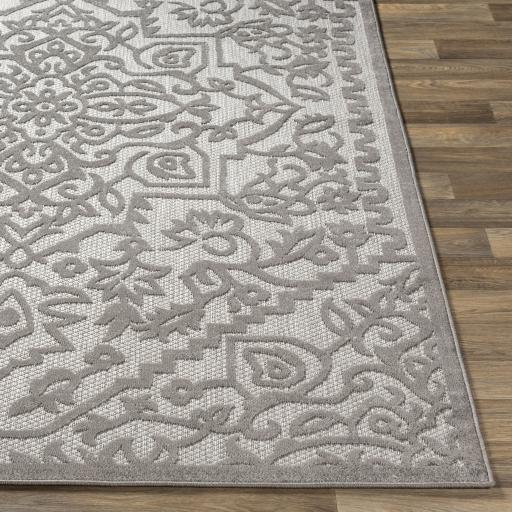 Surya Big Sur BSR-2302 Charcoal Medium Gray 2' x 3' Rug