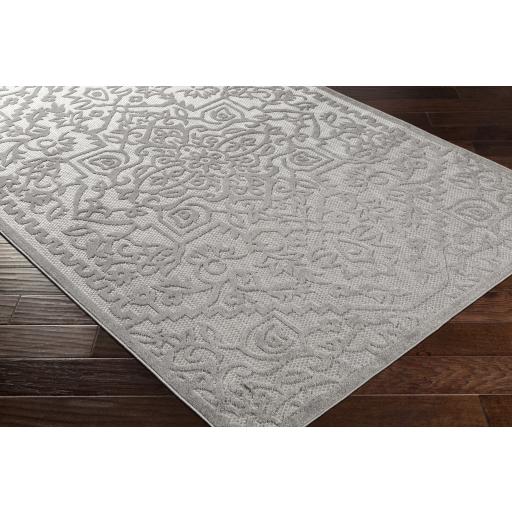 Surya Big Sur BSR-2302 Charcoal Medium Gray 2' x 3' Rug