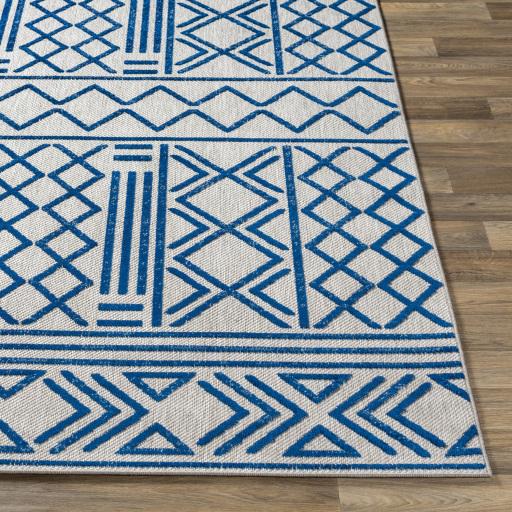 Surya Big Sur BSR-2315 Blue Medium Gray 7'10" x 10'3" Rug