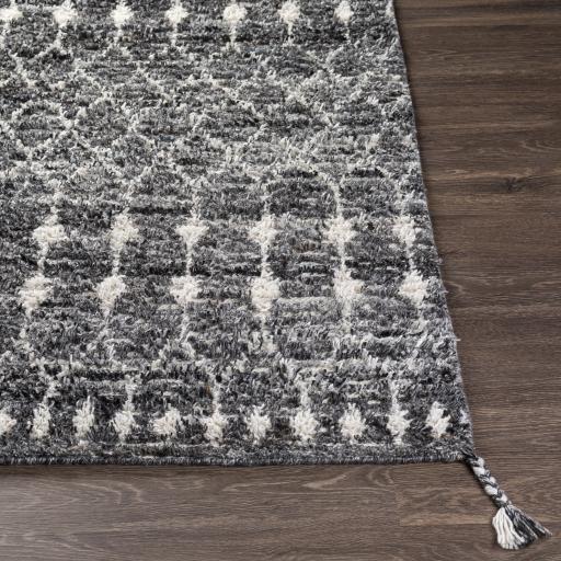 Surya Birch BHC-2301 Black Charcoal 2' x 3' Rug