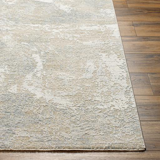 Surya Brunswick BWK-2345 Charcoal Cream 2' x 2'11" Rug