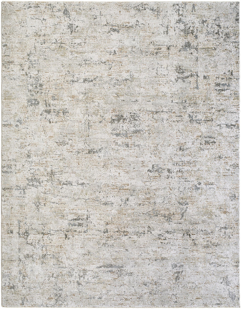 Surya Brunswick BWK-2350 Charcoal Cream 10' x 13'11" Rug