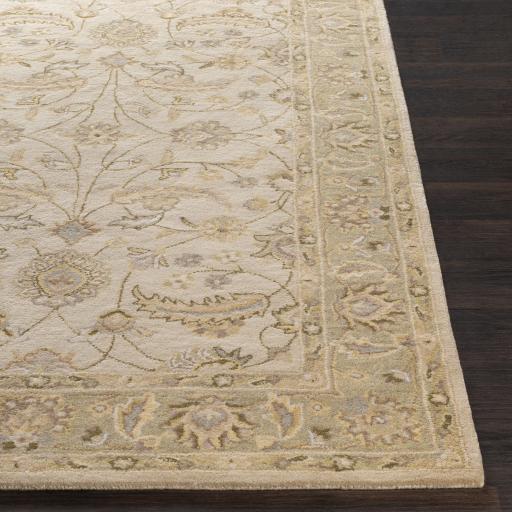 Surya Caesar CAE-1114 Beige Dark Brown 10' x 14' Rug