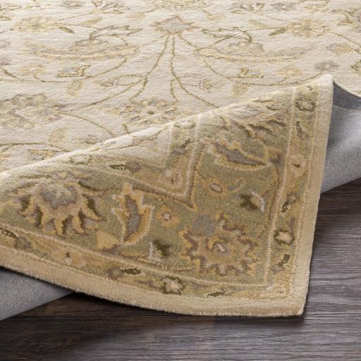 Surya Caesar CAE-1114 Beige Dark Brown 10' x 14' Rug