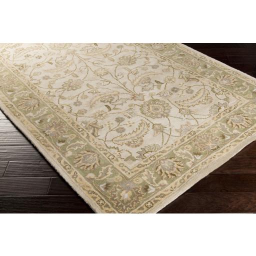 Surya Caesar CAE-1114 Beige Dark Brown 10' x 14' Rug