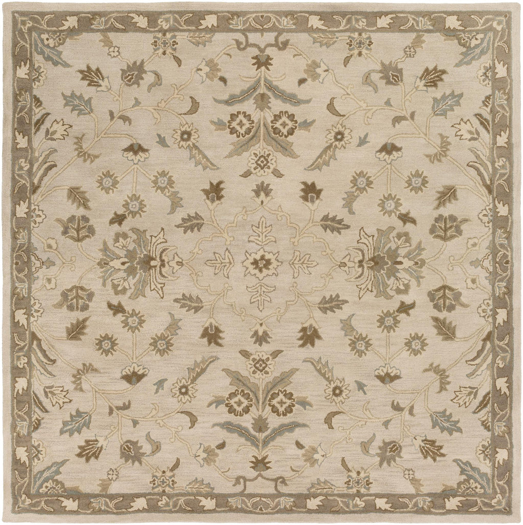 Surya Caesar CAE-1152 Beige Dark Brown 8' Square Rug