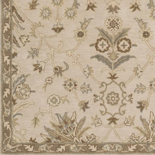 Surya Caesar CAE-1152 Beige Dark Brown 8' Square Rug