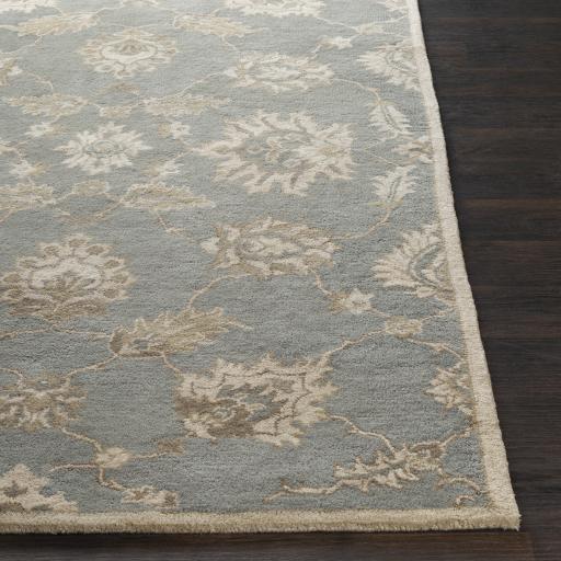 Surya Caesar CAE-1156 Brown Ivory 6' Square Rug