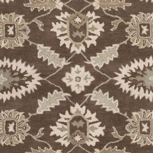 Surya Caesar CAE-1175 Dark Brown Dusty Sage 12' x 15' Rug