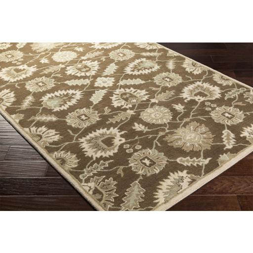 Surya Caesar CAE-1175 Dark Brown Dusty Sage 12' x 15' Rug