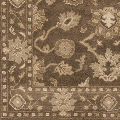 Surya Caesar CAE-1179 Brown Dusty Sage 3' x 12' Rug