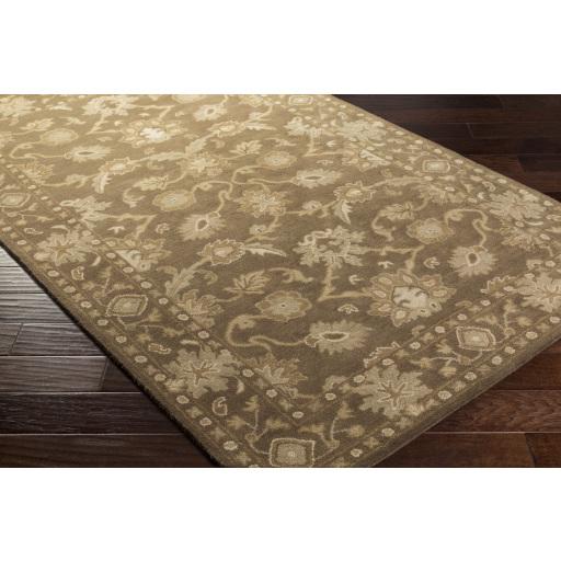 Surya Caesar CAE-1179 Brown Dusty Sage 3' x 12' Rug