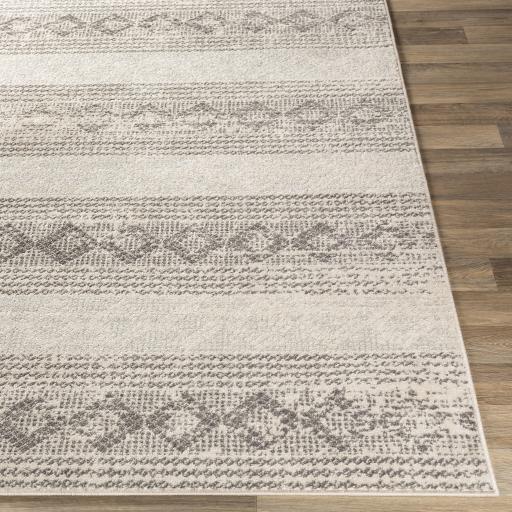 Surya Chester CHE-2308 Charcoal Light Beige 5'3" x 7'3" Rug