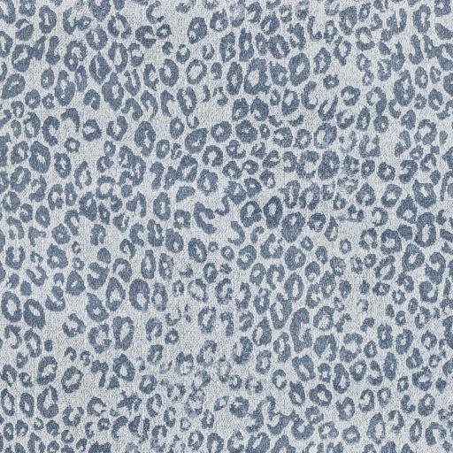 Surya Contempo CPO-3851 Blue Cream 2' x 2'11" Rug