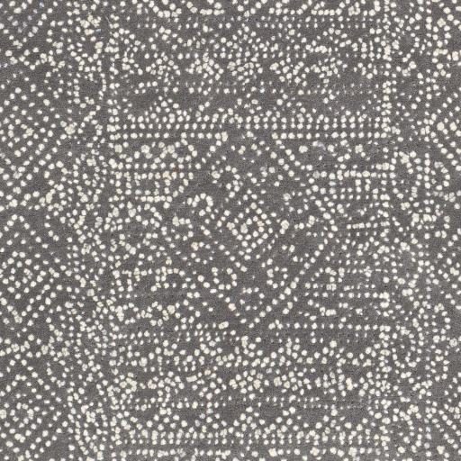 Surya Corfu CFU-2301 Cream Medium Gray 8'10" x 12' Rug