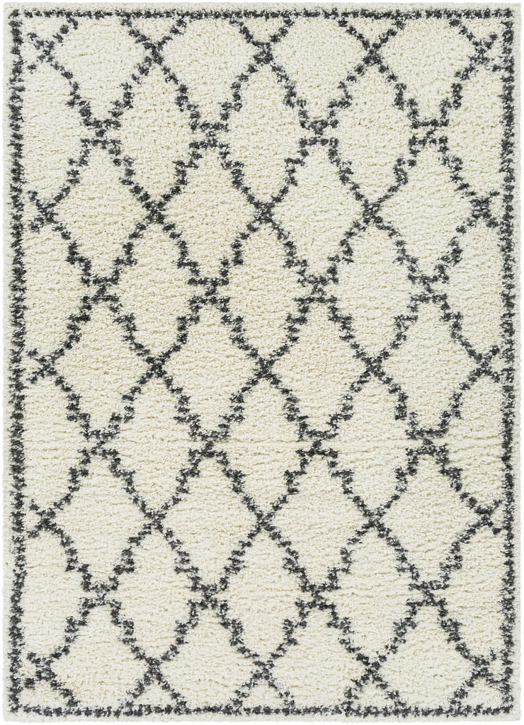 Surya Deluxe Shag DXS-2306 Charcoal Cream 5'3" x 7'3" Rug