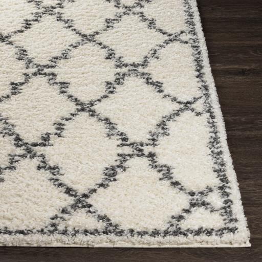 Surya Deluxe Shag DXS-2306 Charcoal Cream 5'3" x 7'3" Rug