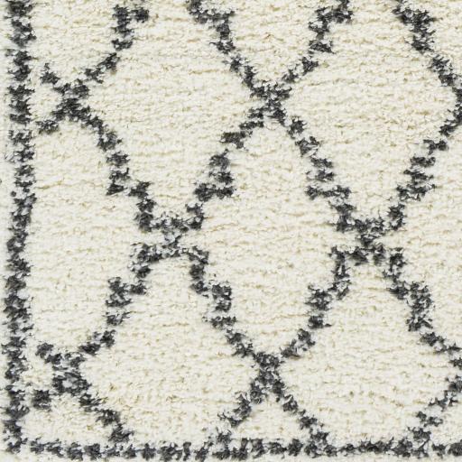 Surya Deluxe Shag DXS-2306 Charcoal Cream 5'3" x 7'3" Rug