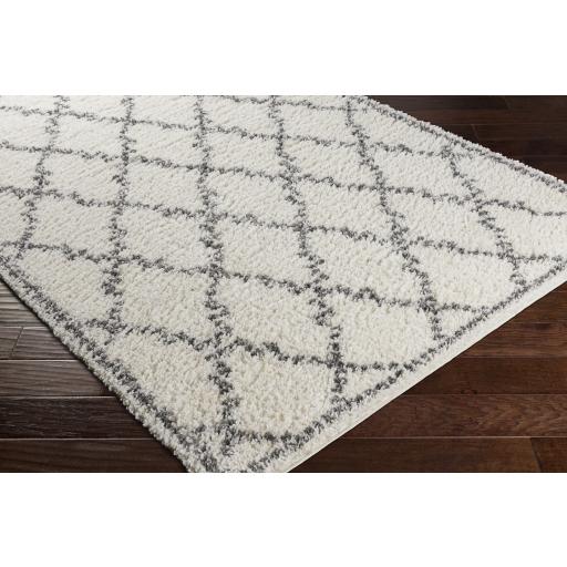 Surya Deluxe Shag DXS-2306 Charcoal Cream 5'3" x 7'3" Rug