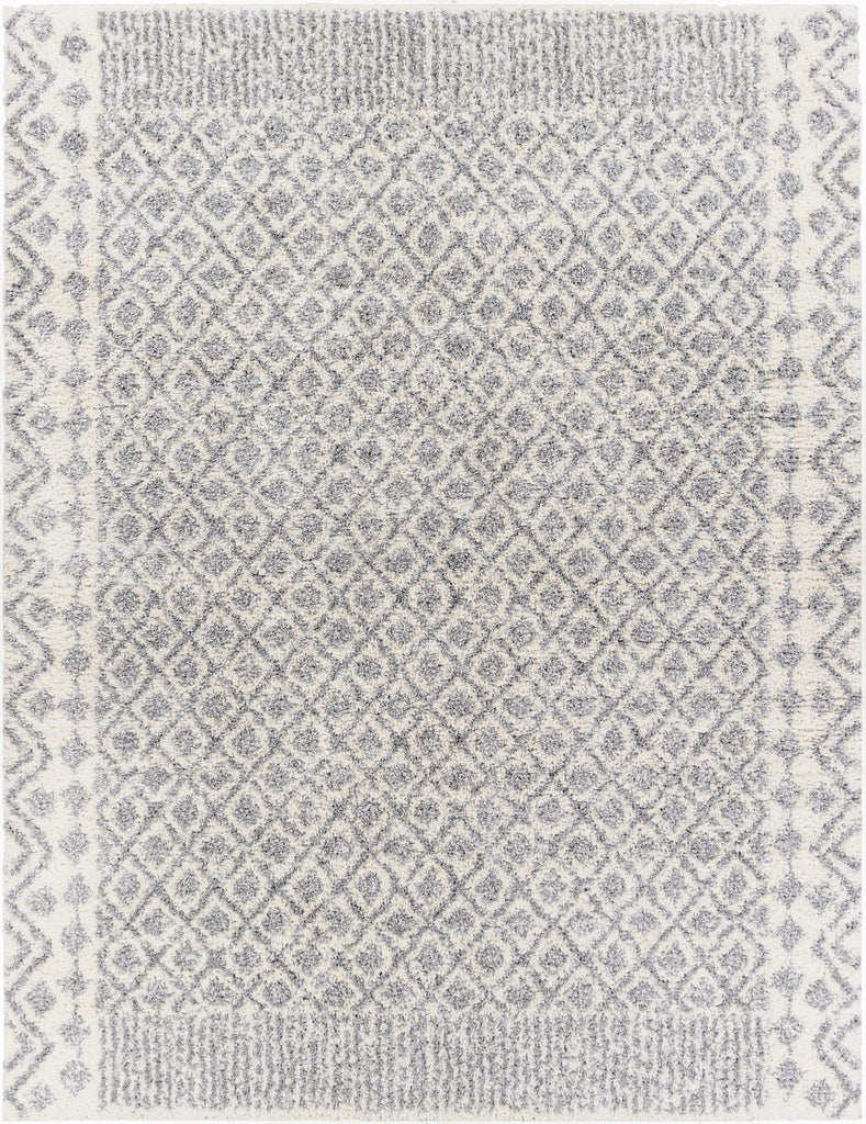 Surya Deluxe Shag DXS-2308 5'3" x 7'3" Rug