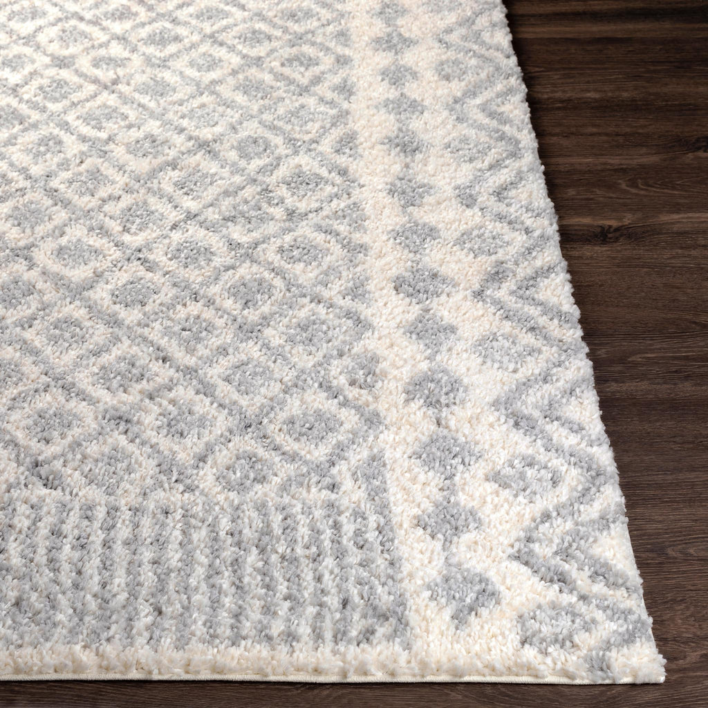 Surya Deluxe Shag DXS-2308 5'3" x 7'3" Machine Woven Rug