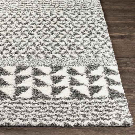 Surya Deluxe Shag DXS-2310 Charcoal Cream 2' x 3' Rug